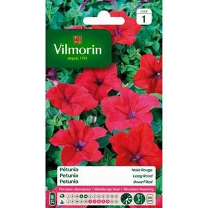 VILMORIN Petunia nain rouge