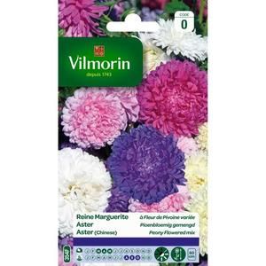 VILMORIN Reine marguerite a fleur de pivoine