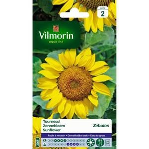 VILMORIN Tournesol zebulon