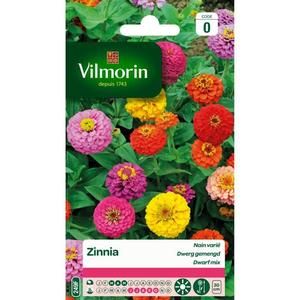 VILMORIN Zinnia nain varie