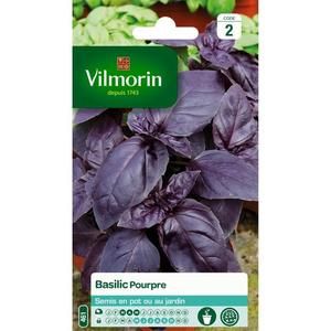 VILMORIN Sachet graines de Basilic pourpre