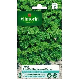 VILMORIN Persil frise race Verbo sélection Vilmorin