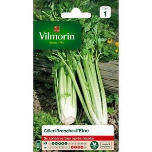VILMORIN Céleri branche d?Elne