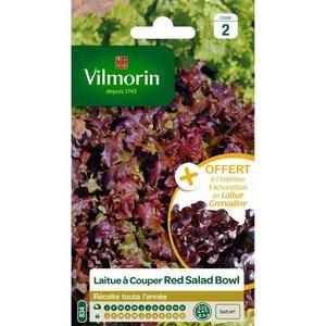 VILMORIN Laitue ? couper Red Salad Bowl + échantillon laitue ? couper Grenadine