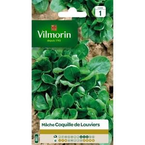 VILMORIN Mâche verte de Louviers