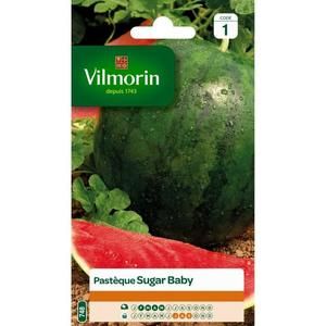VILMORIN Pasteque Sugar Baby