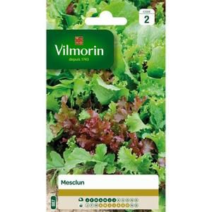 VILMORIN Mesclun