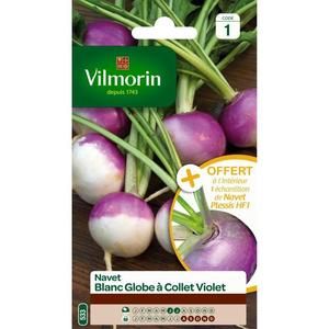 VILMORIN Navet blanc Globe a collet violet avec un échantillon navet Plessis