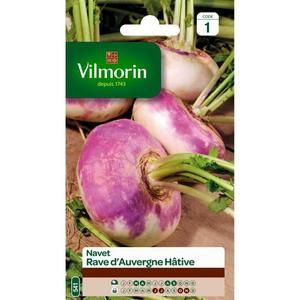 VILMORIN Navet rave d'Auvergne hâtif