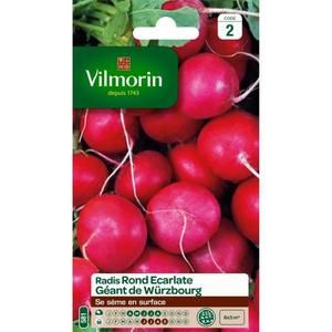 VILMORIN Radis rond ecarlate géant de Wurzbourg
