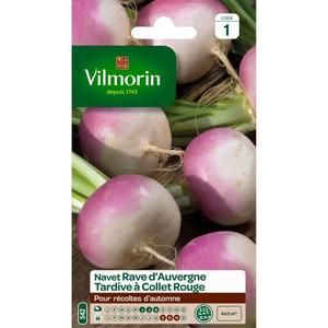 VILMORIN Navet rave d'Auvergne tardif