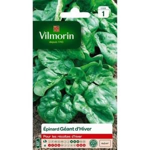 VILMORIN Epinard géant d?Hiver