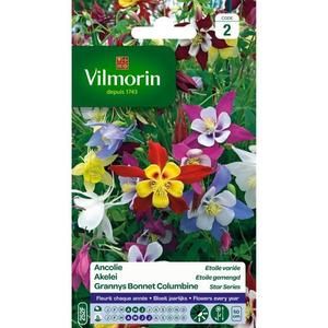 VILMORIN Ancolie étoile variée