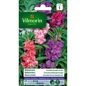 VILMORIN Balsamine Camelia double variée