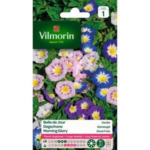 VILMORIN Belle de jour variée