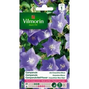 VILMORIN Campanule des Carpathes bleue
