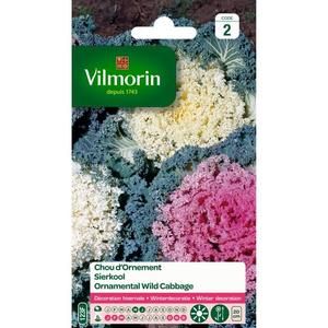 VILMORIN Chou d?ornement Bimbo