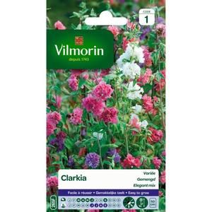 VILMORIN Clarkia élégant double varié