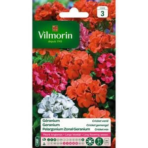 VILMORIN Géranium Cricket varié
