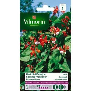 VILMORIN Haricot d?Espagne varié