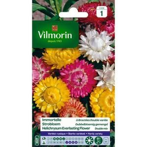 VILMORIN Immortelle a bractées double variée