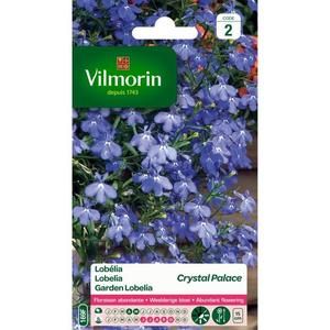 VILMORIN Lobelia Crystal Palace bleu