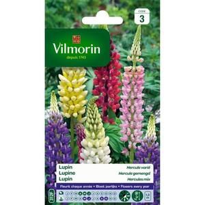 VILMORIN Lupin Hercule varié