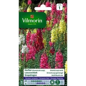 VILMORIN Muflier Grand Loup varié