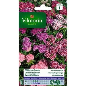 VILMORIN Oeillet de Poete Hirondelle varié
