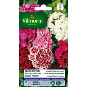 VILMORIN Oeillet de Poete double Pationata varié