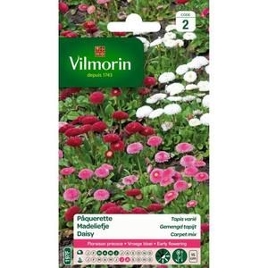 VILMORIN Pâquerette Tapis varié