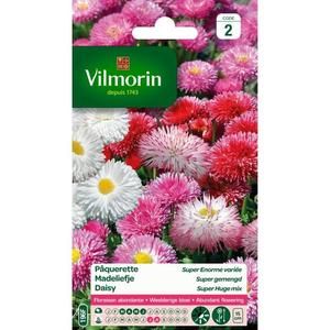 VILMORIN Pâquerette Super enorme variée