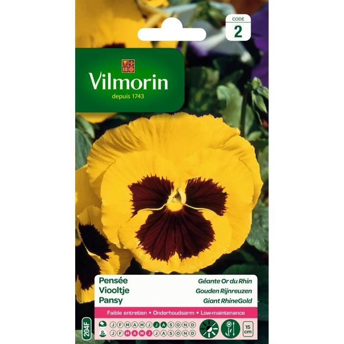 VILMORIN Pensée géante Or du Rhin jaune macule