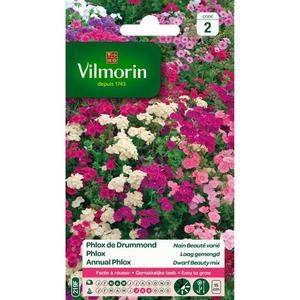 VILMORIN Phlox de Drummond nain beaute varié