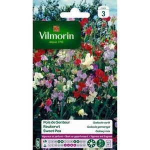 VILMORIN Pois de senteur Galaxie varié