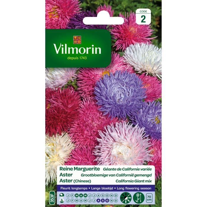 VILMORIN Reine marguerite géante Californie variée