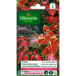 VILMORIN Coleus Arc en ciel amélioré