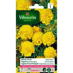 VILMORIN Oeillet d'Inde Globe citron