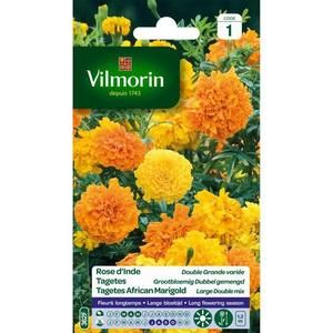 VILMORIN Rose d?Inde double grande variée