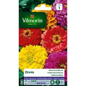 VILMORIN Zinnia Géant de Californie varie