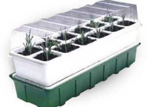 12 mini serres auto irrigante PARASENE 12 mini serres auto irrigante PARASENE