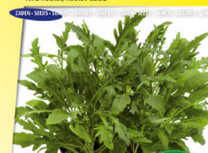 Roquette sauvage Sylvetta (Wild Rocket)