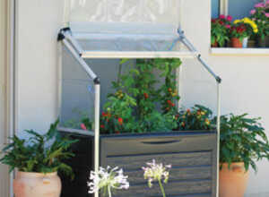 Carré potager Plant Inn Compact 0,75m2 Palram