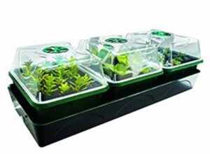 Mini serre chauffante 3 bacs HOLLANDIA Mini serre chauffante 3 bacs HOLLANDIA