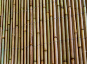 Canisse en bambou entier   Largeur 3 m   Hauteur 2 m