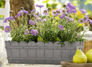Jardinière COUNTRY 50 cm gris clair Jardinière COUNTRY 50 cm gris clair