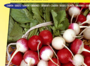 Radis, varieties rond en mÃ©lange