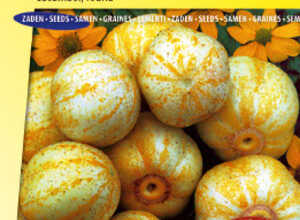 Concombre (rond) True Lemon