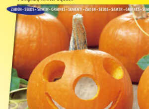 Potiron Spooktacular