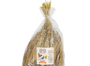 Millet jaune français pour oiseaux Grain de Vie - 1 kg Millet jaune français pour oiseaux Grain de Vie - 1 kg